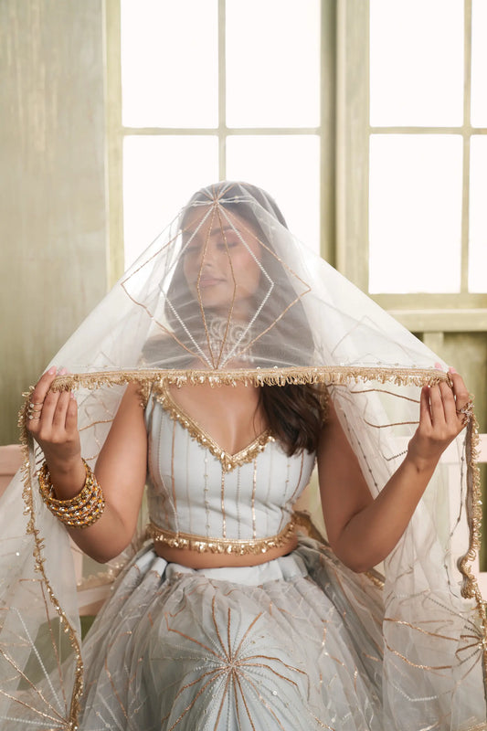 Light Grey Net Lehenga Choli With Cotton Thread Work & Sequence Embroidery Work