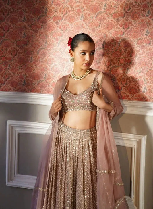Rosy Brown Georgette Lehenga With Zari Heavy Sequins Work