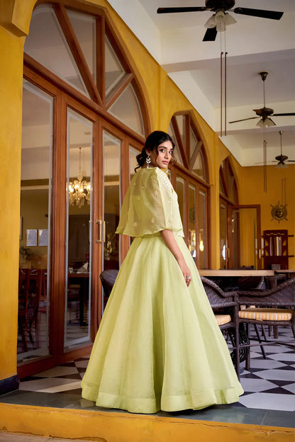 Tea Green Allnen Crush Indo-Western Set