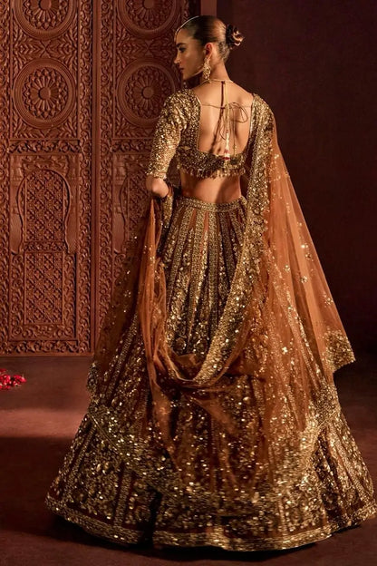 Brownish Designer Embroidered Lehenga