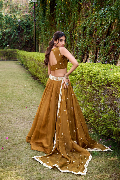Antique Bronze Chanda Silk Embroidery Lehenga Choli