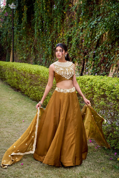 Antique Bronze Chanda Silk Embroidery Lehenga Choli