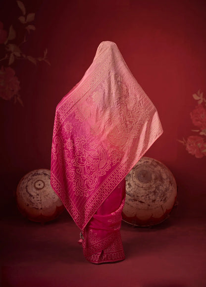 Shaded Pink Silk Saree With Heavy Work Blouse
