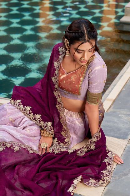 Mauve Pink Paithani Lehenga Choli