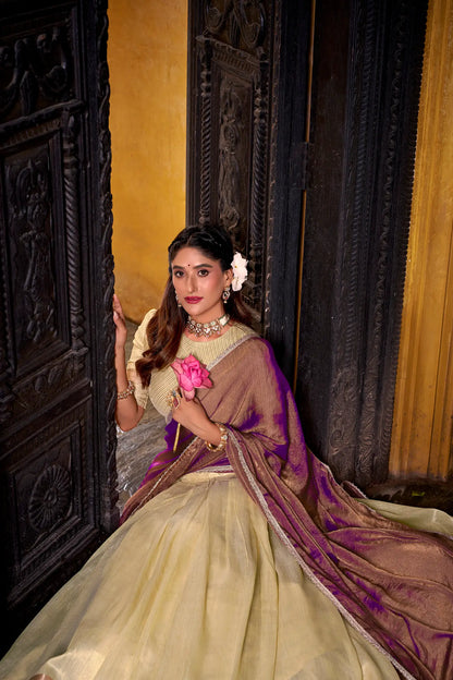 Full view of tan yellow dhupian silk lehenga choli showing detailed weaving