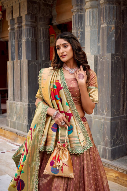 Rust Brown Shimmer Paithani Lehenga Choli