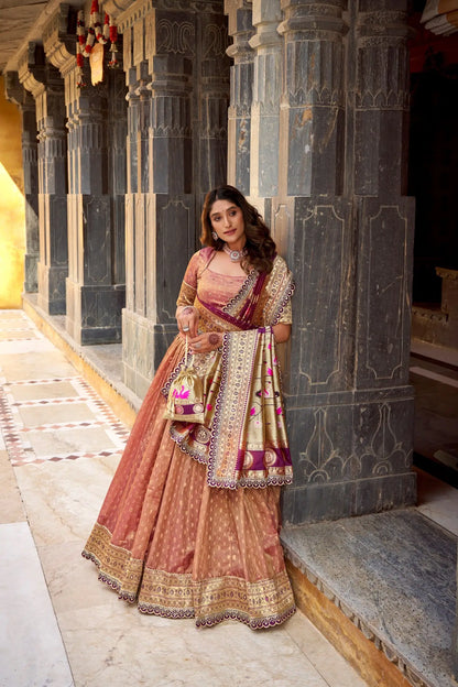 Dark Peach Shimmer Paithani Lehenga Choli