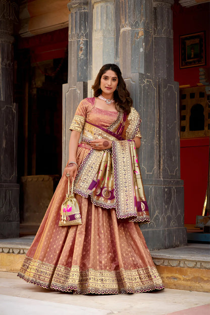 Dark Peach Shimmer Paithani Lehenga Choli