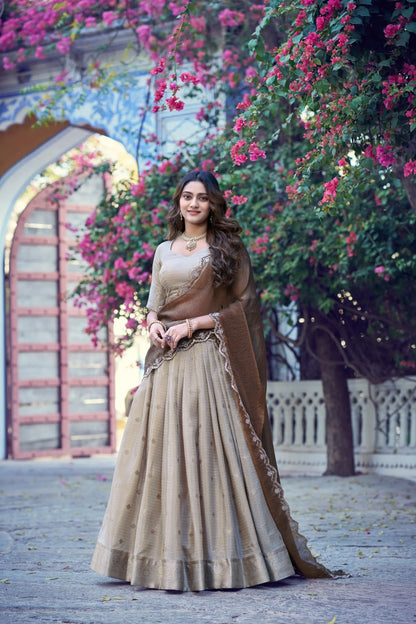Classic Beige South indian Lehenga Choli