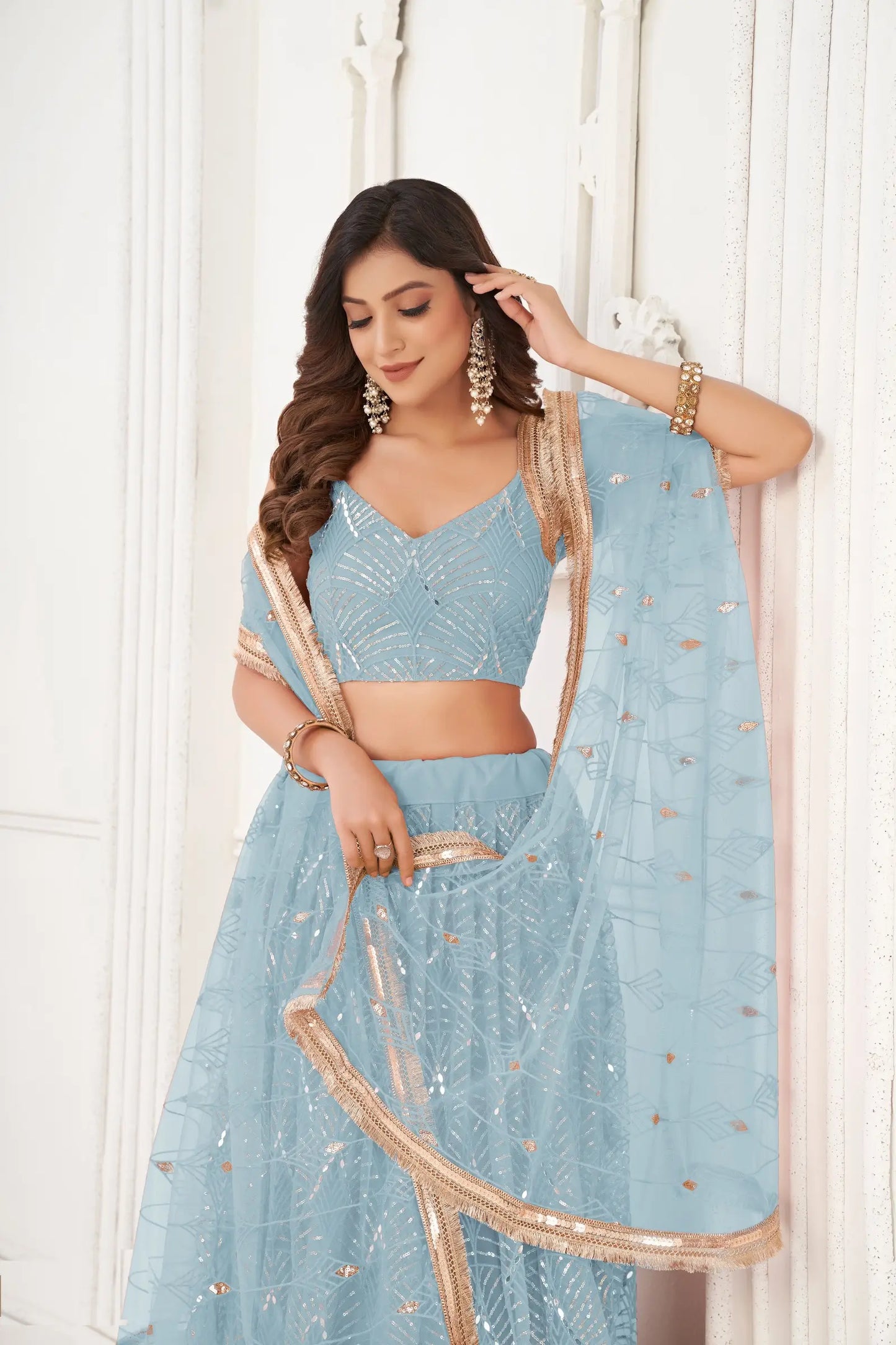 Sky Blue Net Embroidery Lehenga Choli