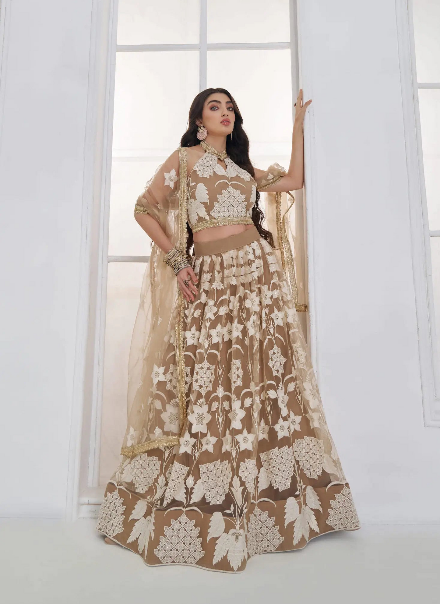 Dark Beige Embroidered Lehenga Choli