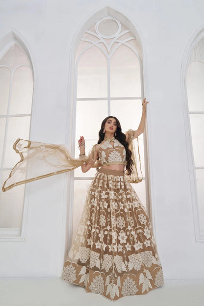 Dark Beige Embroidered Lehenga Choli