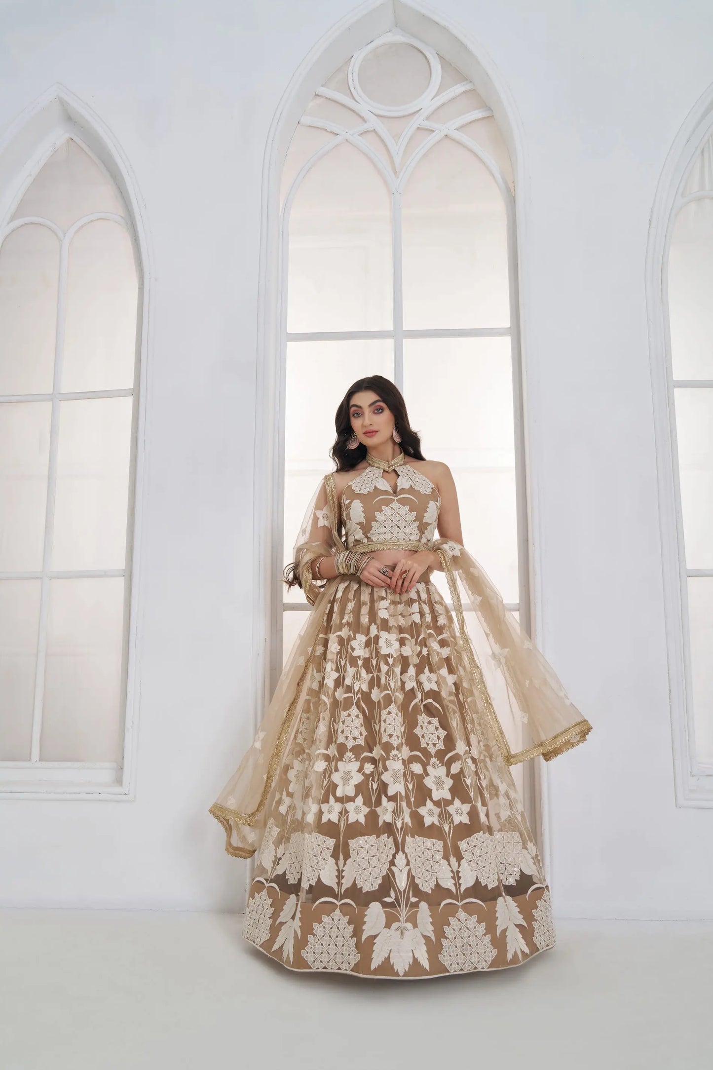 Dark Beige Embroidered Lehenga Choli