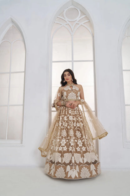 Dark Beige Embroidered Lehenga Choli