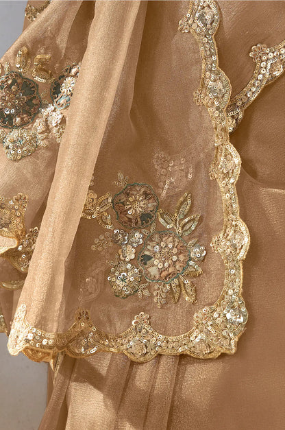 Sand Brown Fancy Tissue Embroidery Work Saree