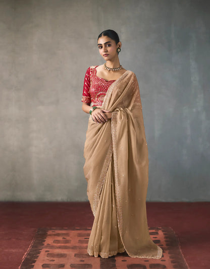 Dark Beige Bead Work Party Wear Saree