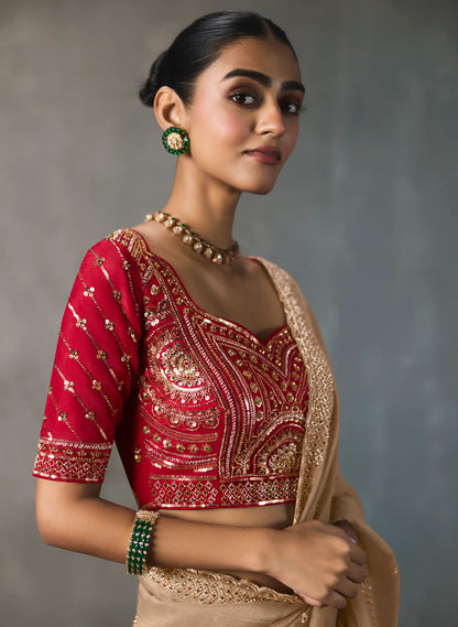 Dark Beige Bead Work Party Wear Saree