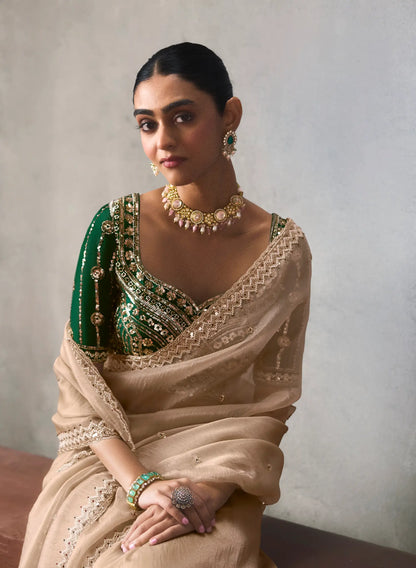 Champagne Bead Work Party Wear Saree