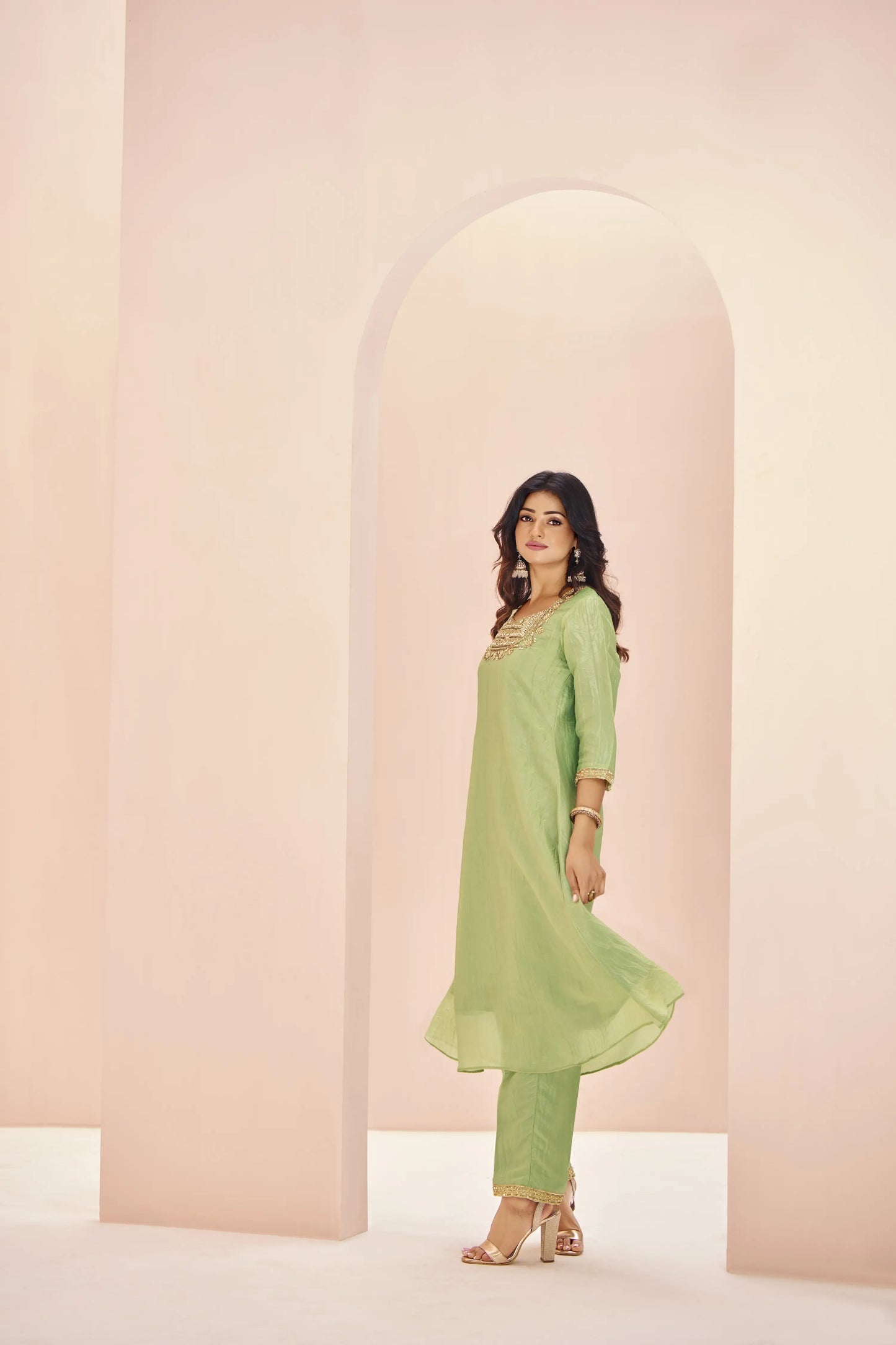 Light Green Organza Salwar Suit With Handwork