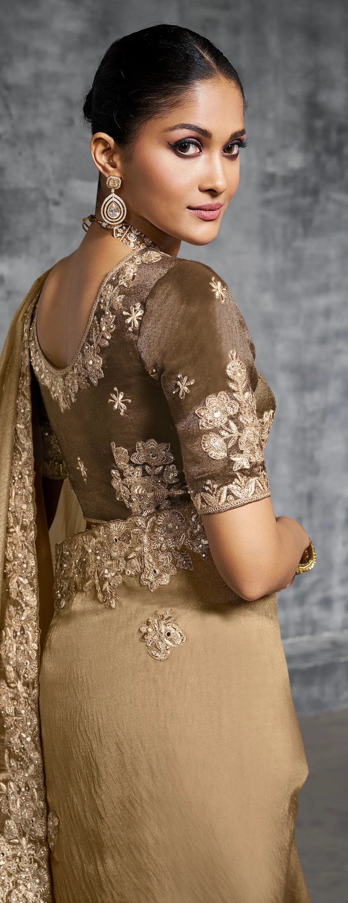 Dark Beige  Zari Tissue  Hand Work & Embroidery Saree