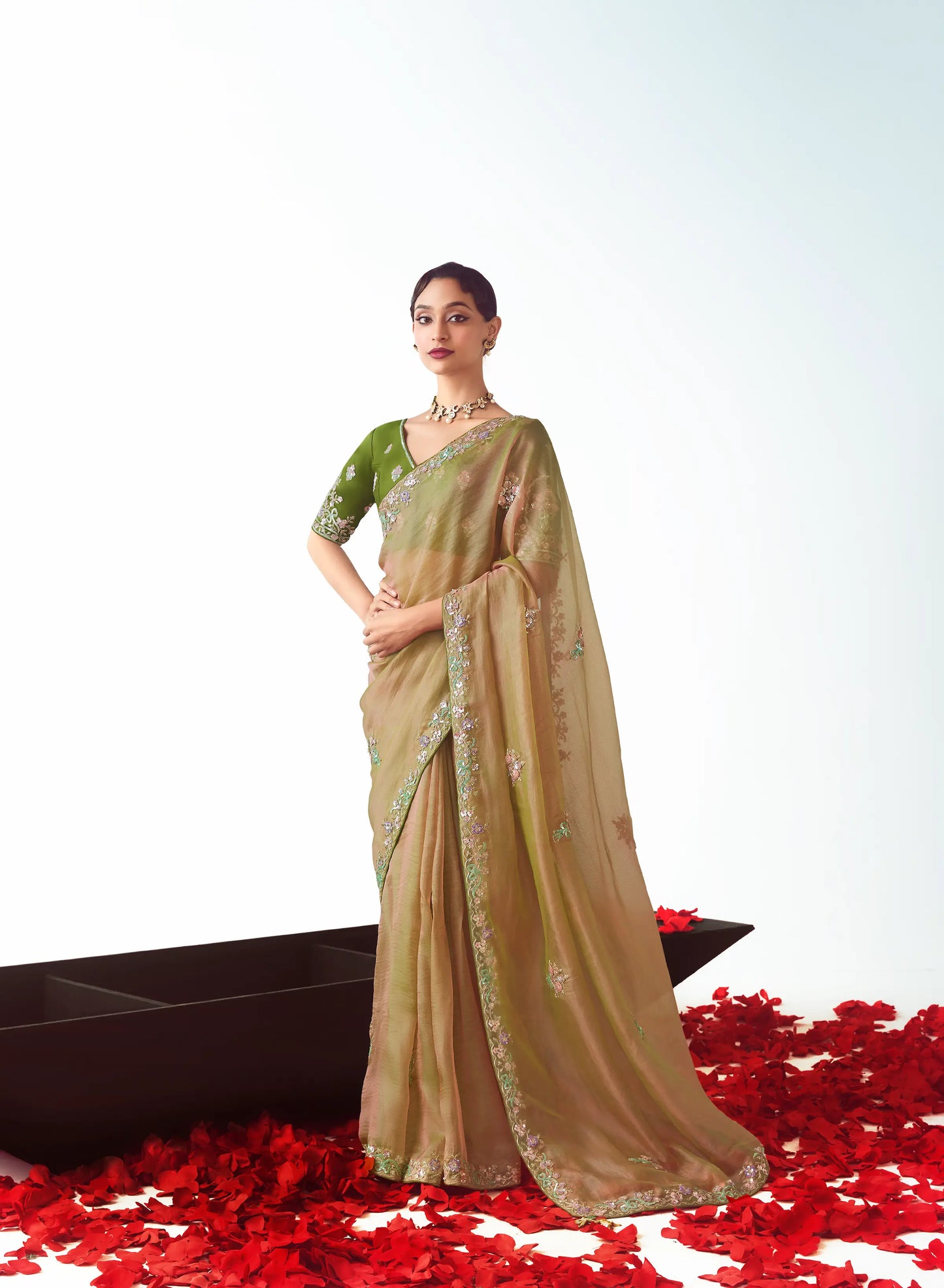 Sand Brown Party Wear Saree With Embroidery & Hand Work