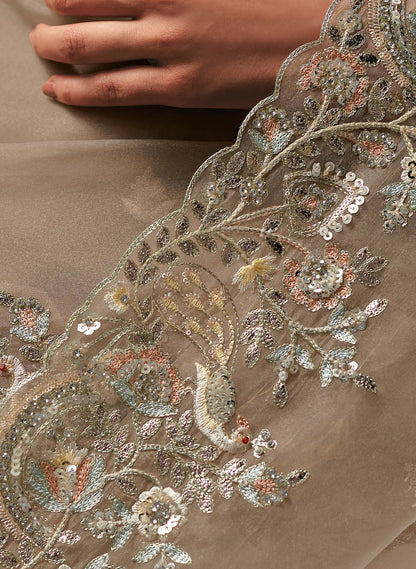 Sand Brown Fancy Embroidery & Stone Work Saree