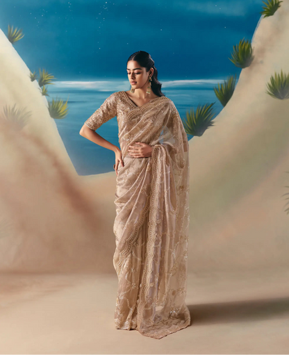 Pastel Brown Satin Organza Heavy Embroidery Saree
