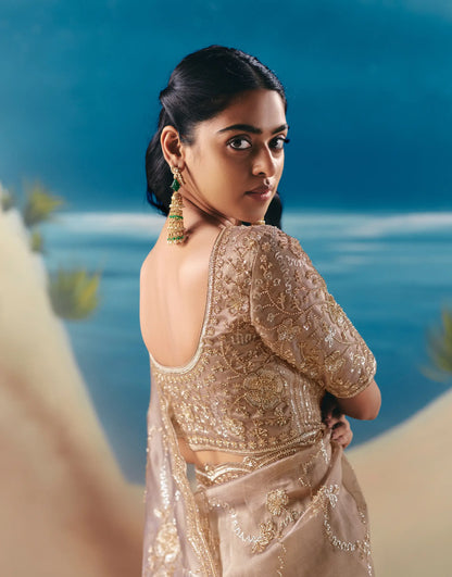 Pastel Brown Satin Organza Heavy Embroidery Saree