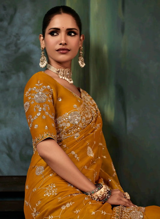Dusty Orange Saree With Aari & Hand Work