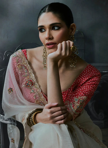 Pearl White Tissue silk Embroidered Saree