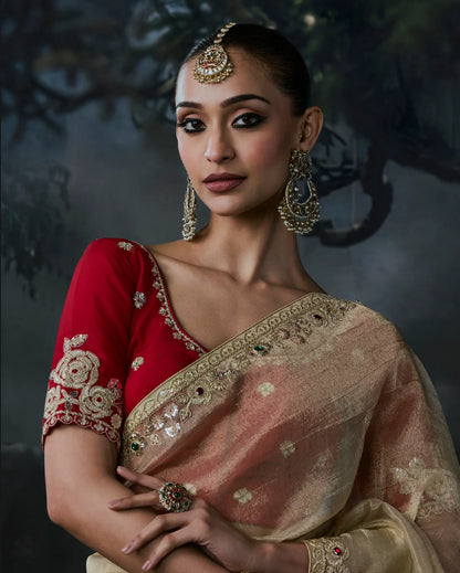 Golden Beige Tissue silk Embroidered Saree