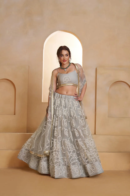 Silver Grey Net Embroidery Lehenga choli