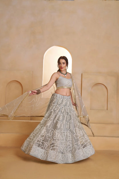 Silver Grey Net Embroidery Lehenga choli