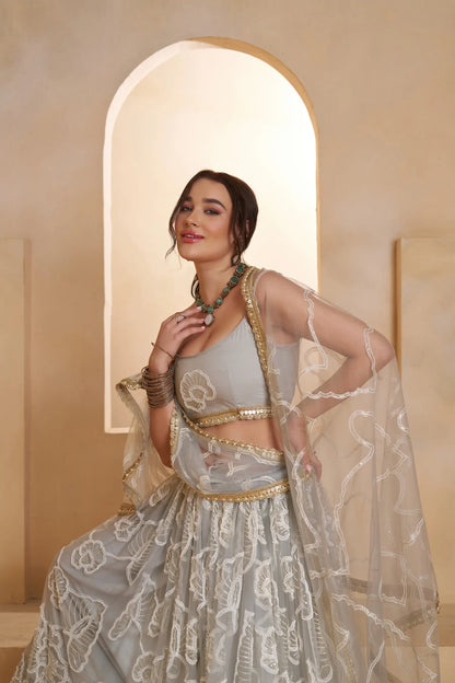 Silver Grey Net Embroidery Lehenga choli