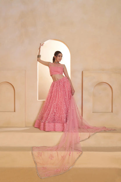 Blush Pink Net Embroidery Lehenga choli