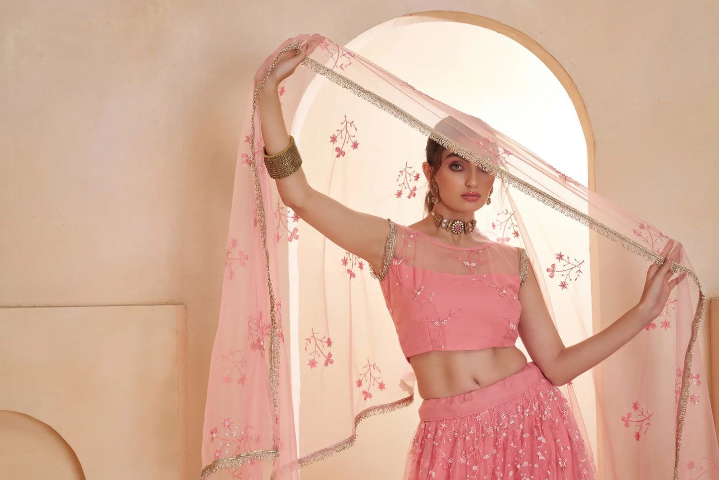 Blush Pink Net Embroidery Lehenga choli