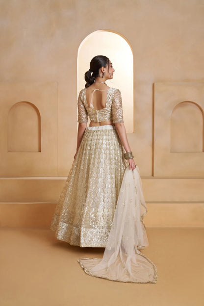 Ivory Gold Net Embroidery Lehenga choli