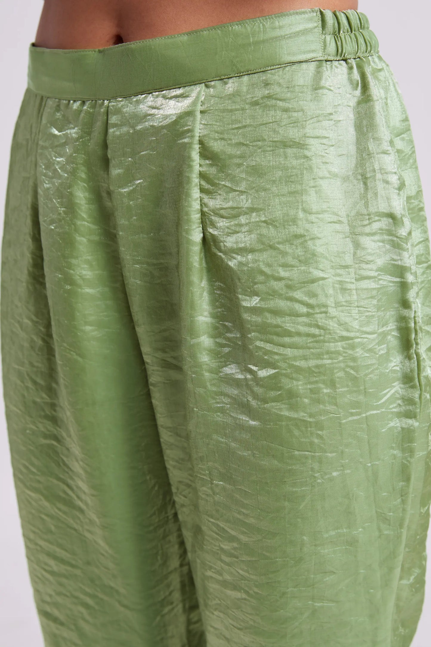 Pista Green Pure Organza Salwar Suit