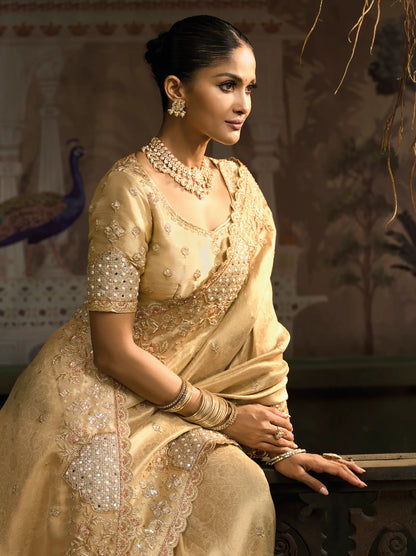 Dark Beige Silk Heavy Embroidery Saree