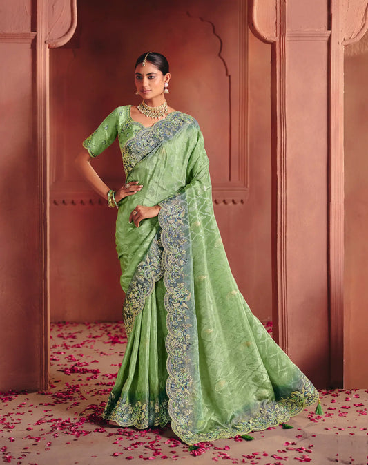 Pastel Green Zari Silk Heavy Embroidery Saree