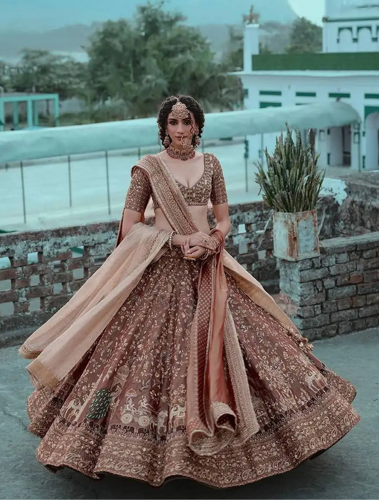 Brown Embroidered Lehenga Choli