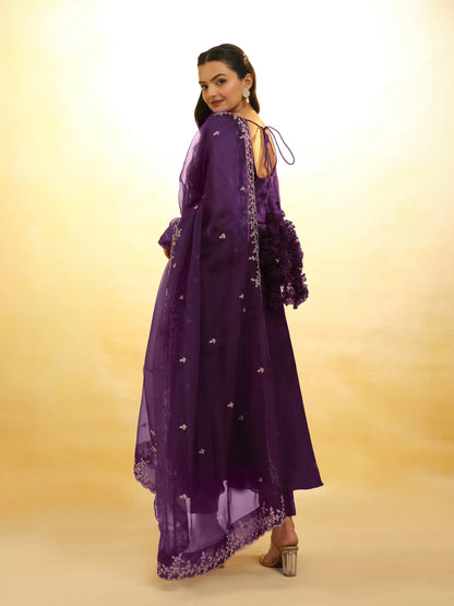 Plum Purple Organza Salwar Suit With Dupatta