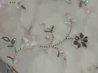 Silver Sand Silk Lehenga With Thread Embroidery With Rainbow Sequins Work