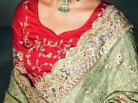 Pastel Green Heavy Embroidery & Hand Work Silk Saree