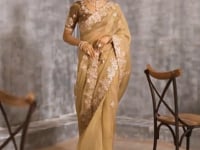 Dark Beige  Zari Tissue  Hand Work & Embroidery Saree