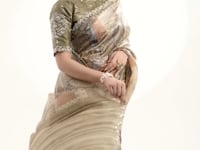 Olive Green Paper Silk Saree With Print & Stone Handwork