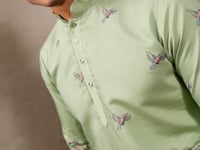 Elegant Pista Kurta Set With Elephant Embroidery Work