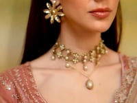 Dark Beige Pattern Georgette Embroidery Saree