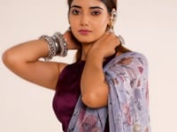 Cool Grey Lurex Brasso Floral Saree