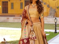 Dark Beige Shimmer Paithani Lehenga Choli